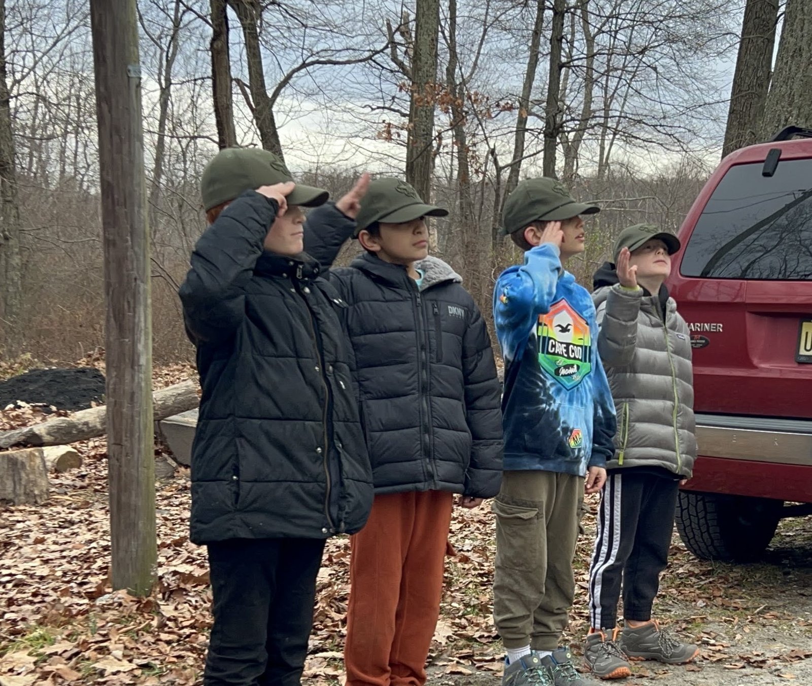 Photo of Scouts saluting.